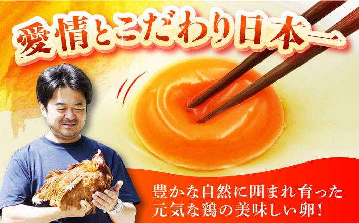 長崎県産 島原市 たまご 卵 玉子 タマゴ 鶏卵 オムレツ 卵かけご飯 朝食 料理 人気 卵焼き 定期便 3ヶ月 3か月