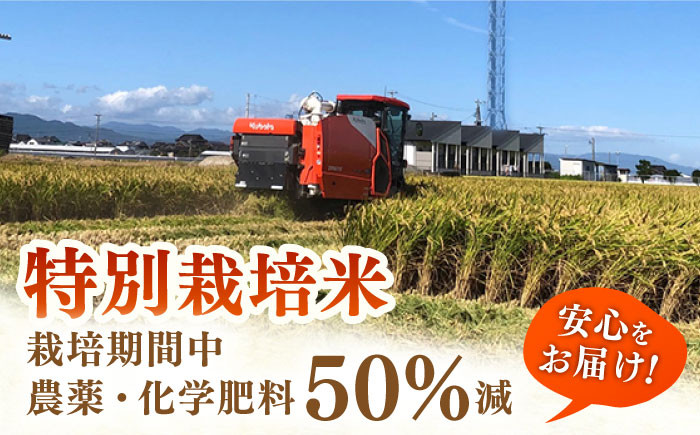 ももちゃんちのお米 ヒヨクモチ 精米 10kg ( 5kg×2袋 ) 【ももさき農産】 [HCG003]