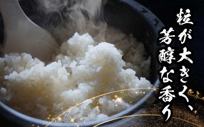 米 お米 10kg 10キロ 定期便 白米 精米 新米 愛知県 あいちのかおり