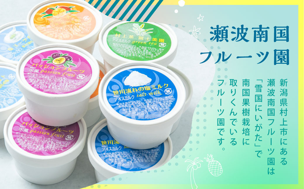 【瀬波南国フルーツ園】カップジェラートよりどりBOX(80g×10個入り)