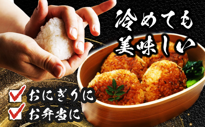 米 お米 10kg 10キロ 定期便 白米 精米 新米 愛知県 あいちのかおり