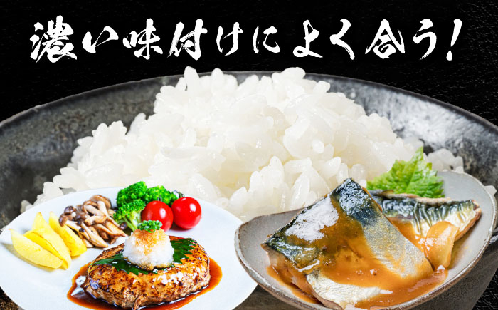 米 お米 10kg 10キロ 定期便 白米 精米 新米 愛知県 国産 コシヒカリ