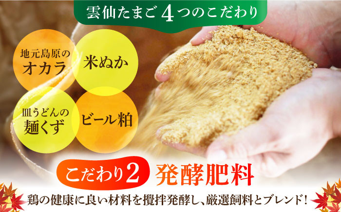 長崎県産 島原市 たまご 卵 玉子 タマゴ 鶏卵 オムレツ 卵かけご飯 朝食 料理 人気 卵焼き 大容量 たっぷり