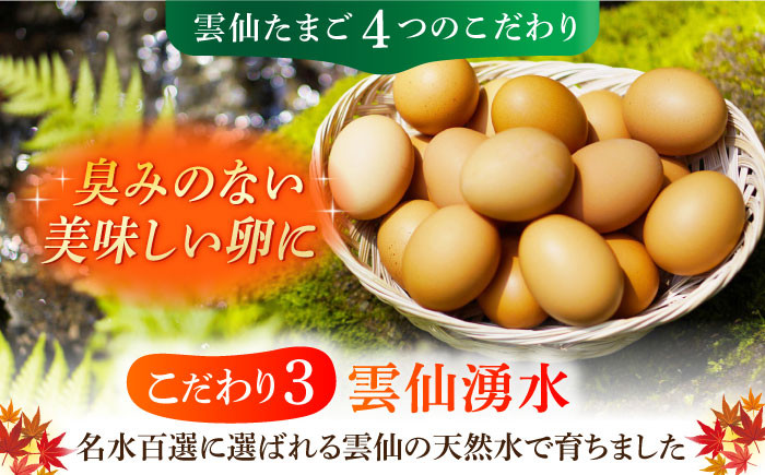 長崎県産 島原市 たまご 卵 玉子 タマゴ 鶏卵 オムレツ 卵かけご飯 朝食 料理 人気 卵焼き 定期便 3ヶ月 3か月
