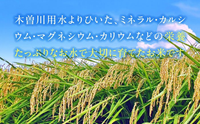米 お米 20kg 20キロ 白米 精米 新米 愛知県産 国産 あいちのかおり