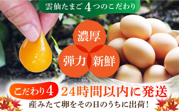 長崎県産 島原市 たまご 卵 玉子 タマゴ 鶏卵 朝食 料理 人気 卵焼き 定期便 12ヶ月 12か月  大容量 100個