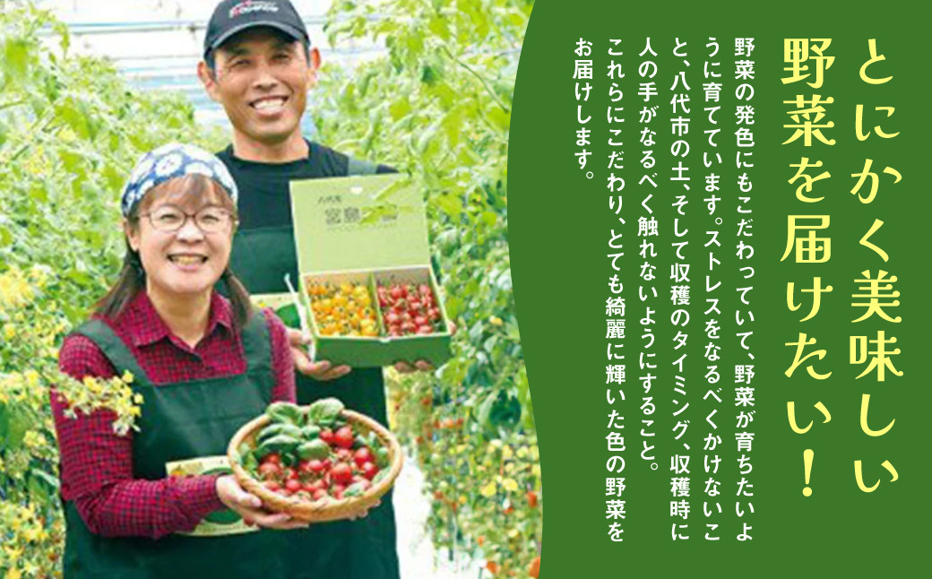 とにかく美味しい野菜を届けたい!
