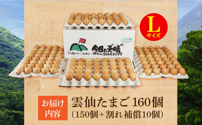 長崎県産 島原市 たまご 卵 玉子 タマゴ 鶏卵 オムレツ 卵かけご飯 朝食 料理 人気 卵焼き 大容量 たっぷり