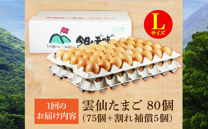長崎県産 島原市 たまご 卵 玉子 タマゴ 鶏卵 オムレツ 卵かけご飯 朝食 料理 人気 卵焼き 定期便 6ヶ月 6か月