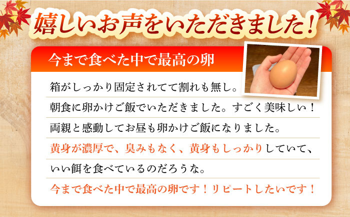 長崎県産 島原市 たまご 卵 玉子 タマゴ 鶏卵 卵かけご飯 朝食 料理 人気 卵焼き 定期便 6ヶ月 6か月  大容量
