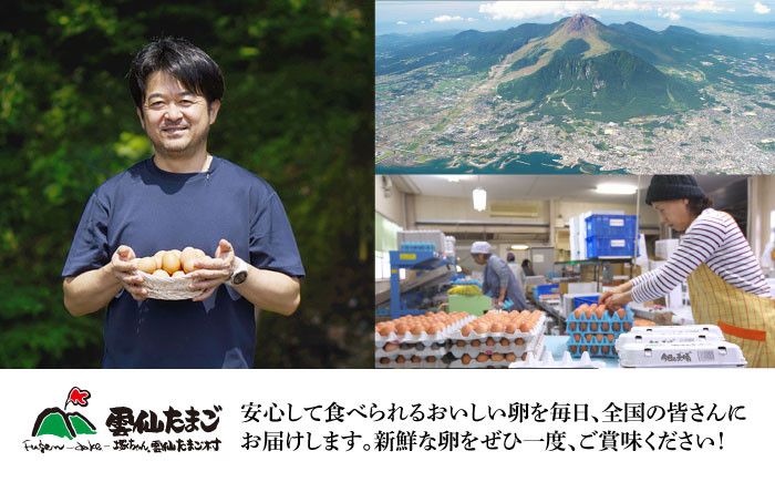 長崎県産 島原市 たまご 卵 玉子 タマゴ 鶏卵 オムレツ 卵かけご飯 朝食 料理 人気 卵焼き 定期便 12ヶ月 12か月