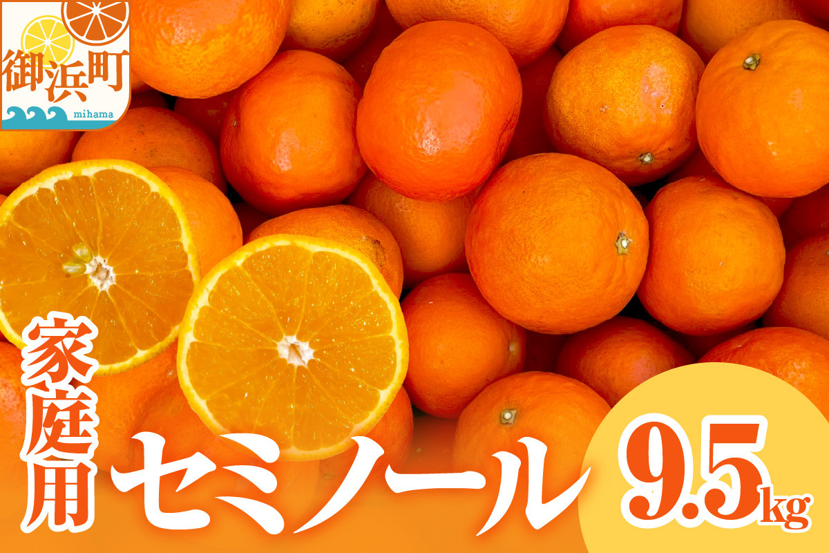 【2026年発送 先行予約品】