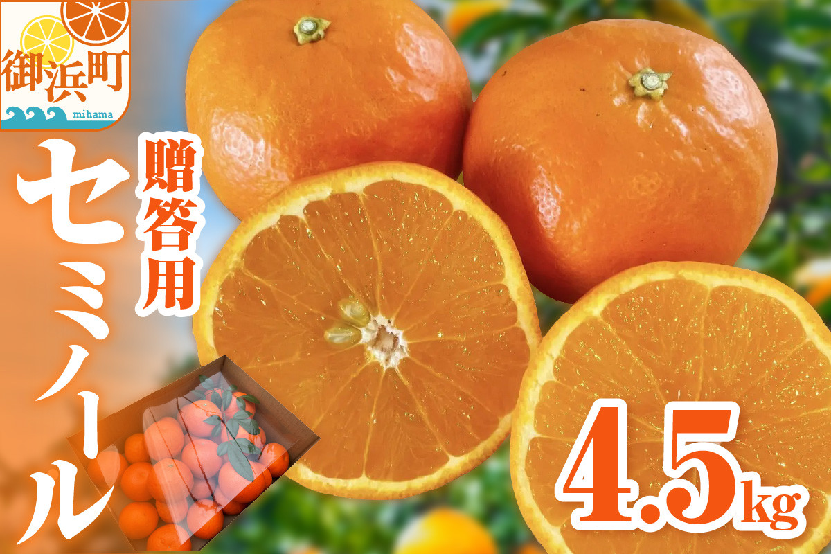 【2026年発送 先行予約品】