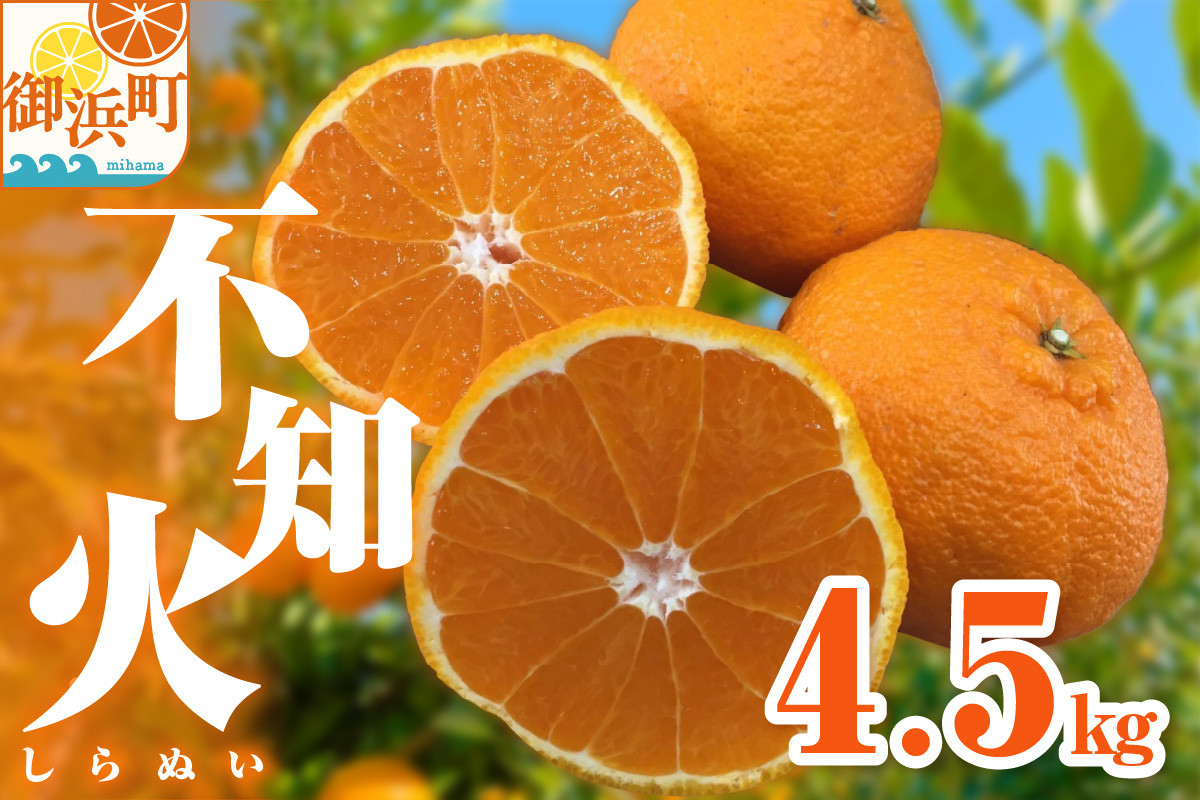 【2026年発送 先行予約品】