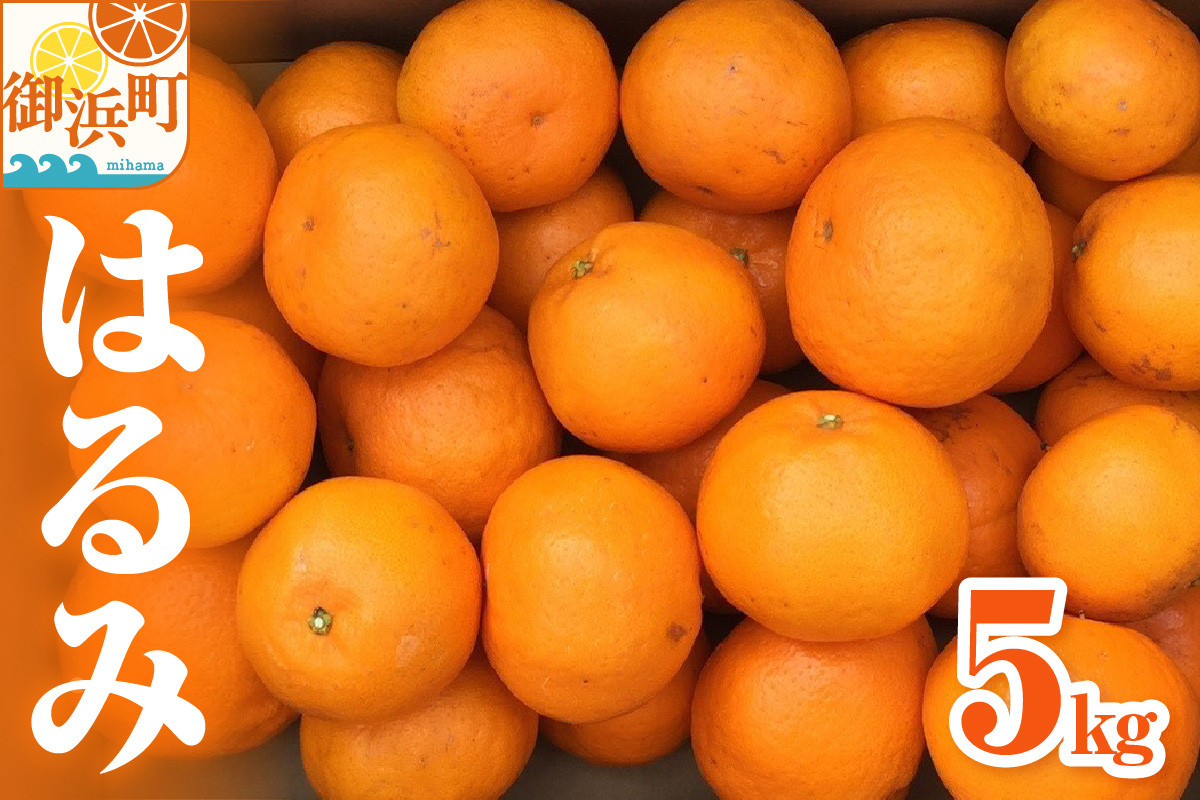 【2026年発送 先行予約品】