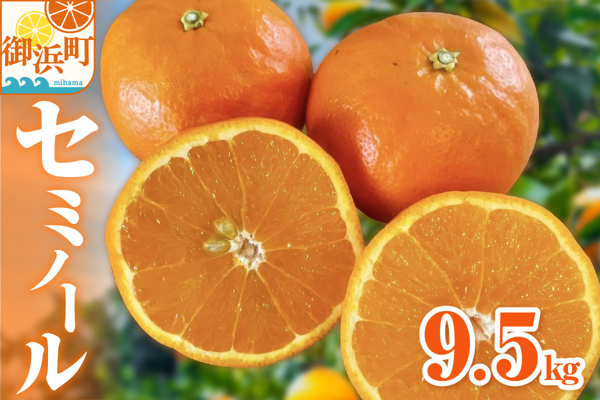 【2026年発送 先行予約品】