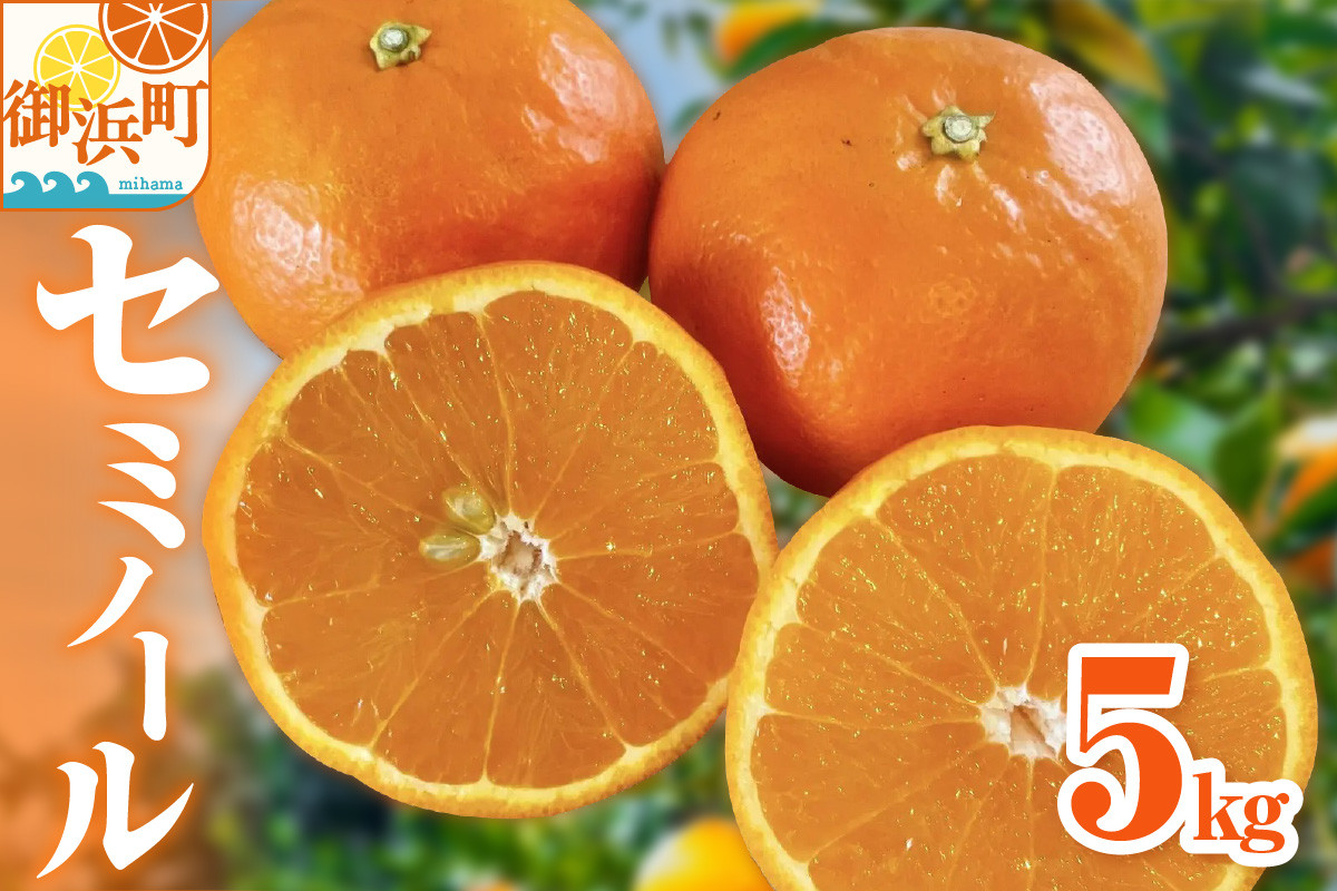 【2026年発送 先行予約品】