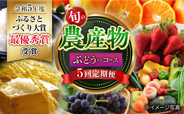 おおむら夢ファーム シュシュ いちご ぶどう みかん 米 野菜 野菜詰合せ 野菜セット 定期便