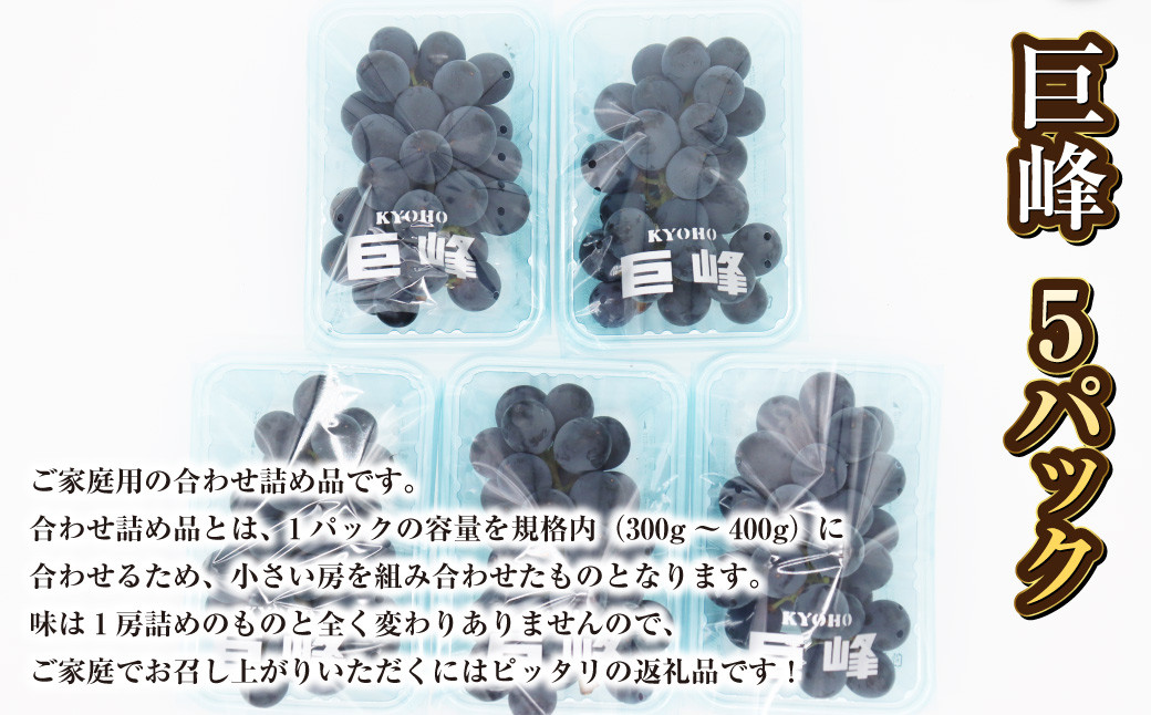 先行予約 巨峰 5パック 約1.5kg ご家庭用 ぶどう ブドウ フルーツ 果物 くだもの