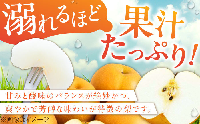 梨 果物 豊水5kg なし 梨 旬 おいしい