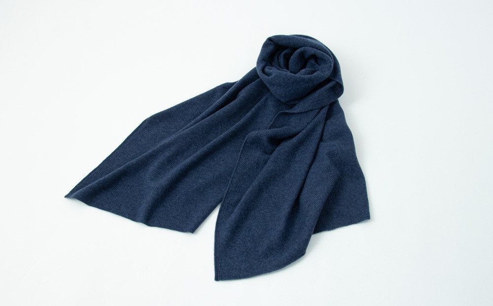 夢 未来の夢は叶えるためにある