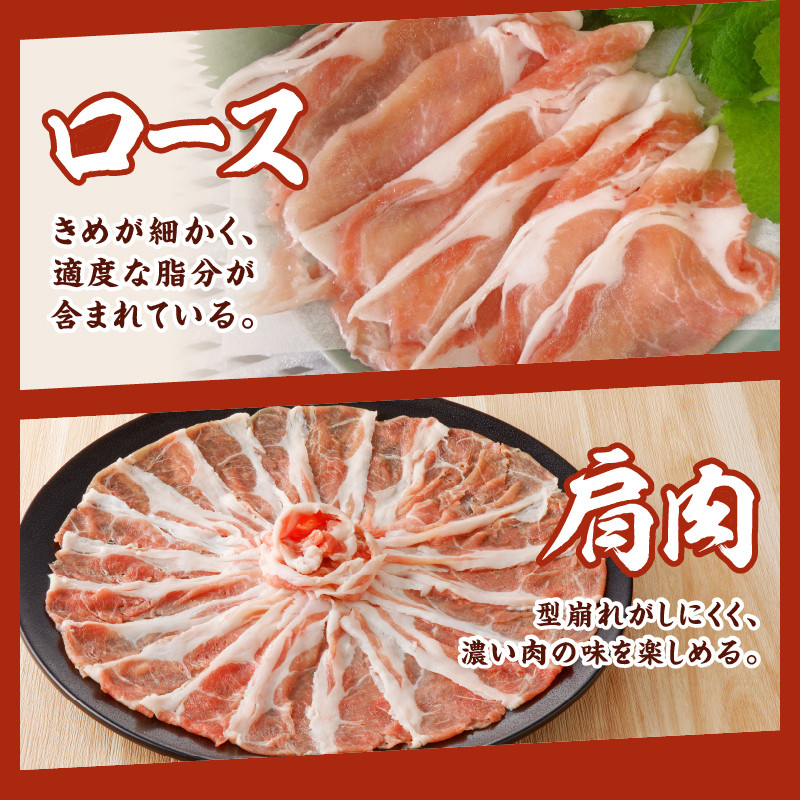 写真はイメ－ジです。