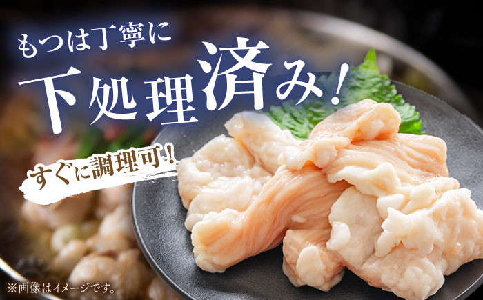 博多もつ鍋。味噌 3人前 牛もつ 牛小腸