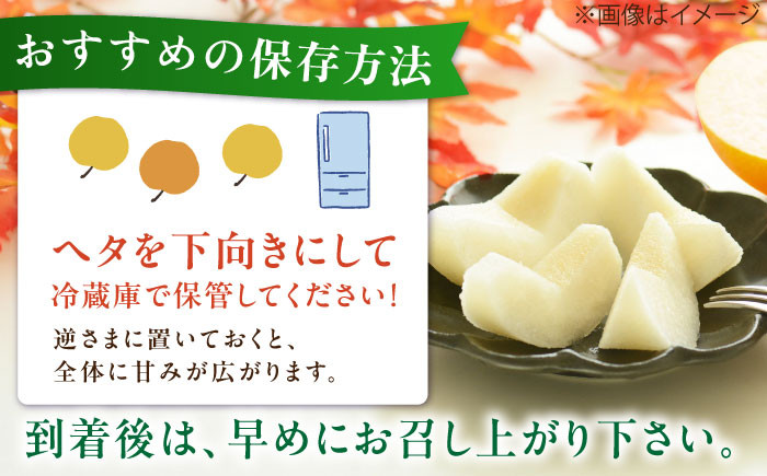 梨 果物 豊水5kg なし 梨 旬 おいしい