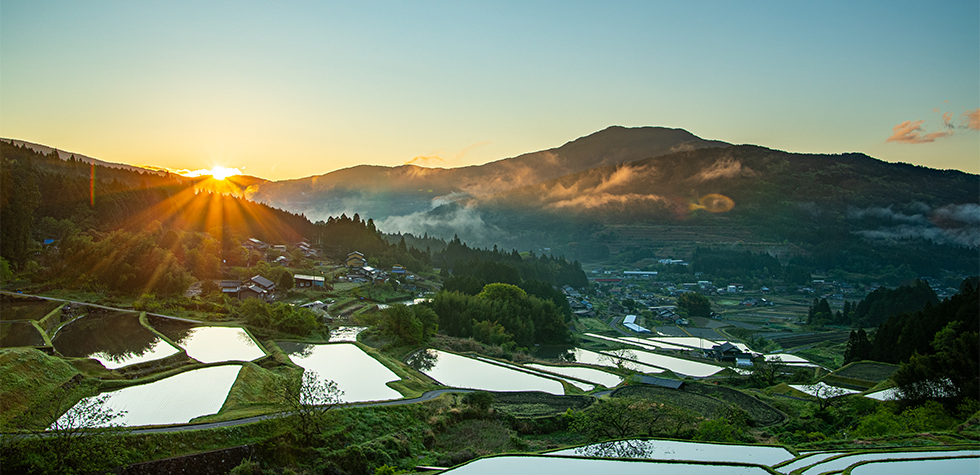 飛騨牛 牛肉 和牛 肉 三浦豚 豚肉 焼肉 BBQ バーベキュー ロース セット 贈答 ギフト おすすめ 人気 岐阜県 恵那市