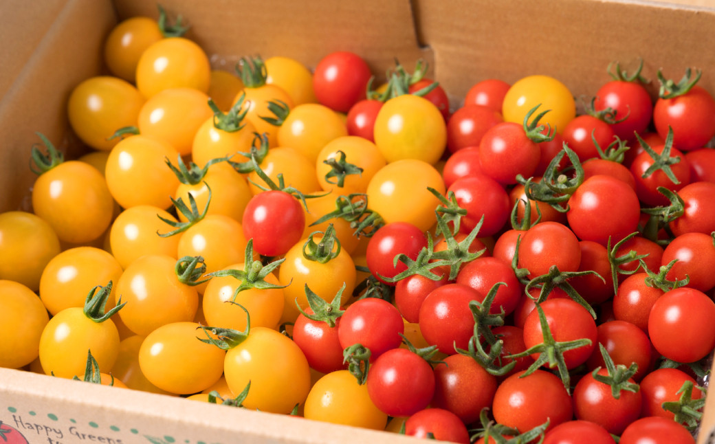 是非ご賞味ください。