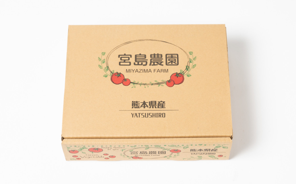 【定期便6回】ミニトマト (ミックス) 1.2kg×6回