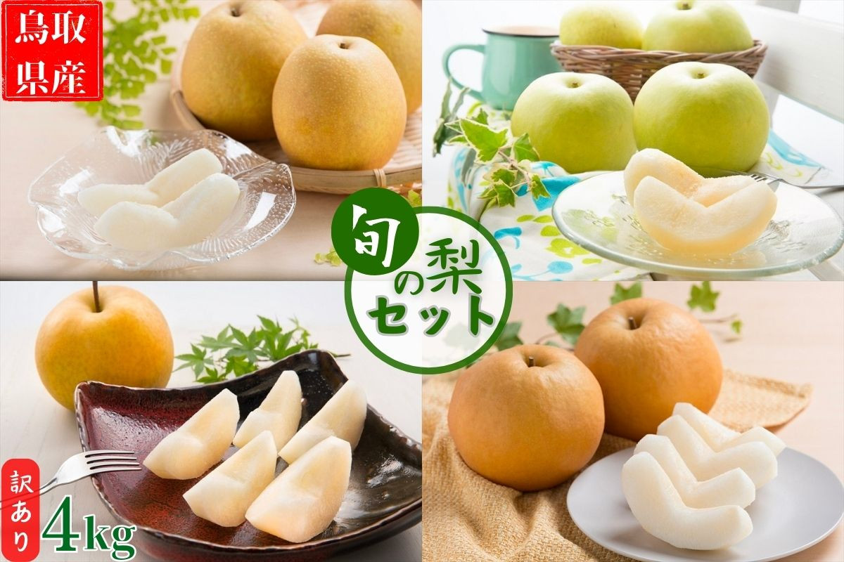 「梨王国」鳥取県産！旬を迎えた品種から2種類前後をお届けします！