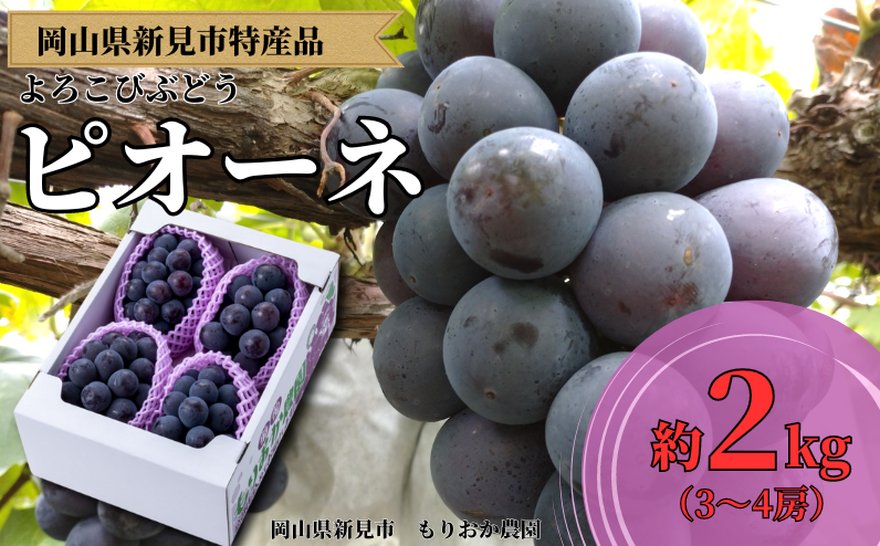 新見のA級食材ピオーネ、約2kg（3～4房）をお届けします