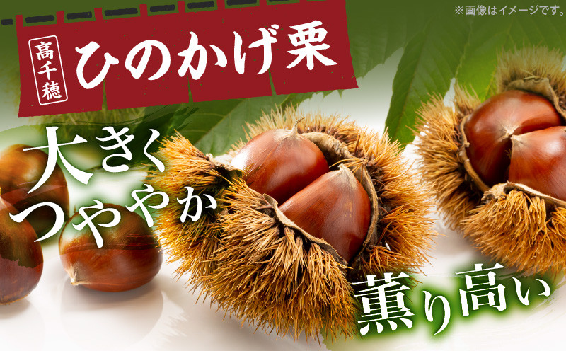 C-22 高千穂・ひのかげくり