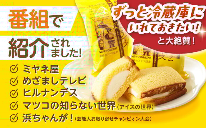 ニューヨーク堂 アイス カステラ スイーツ バニラ 抹茶 びわ チョコ コーヒー 苺 白玉小倉 セット 詰合せ