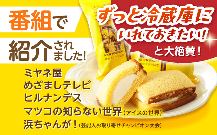 ニューヨーク堂 アイス カステラ スイーツ バニラ セット