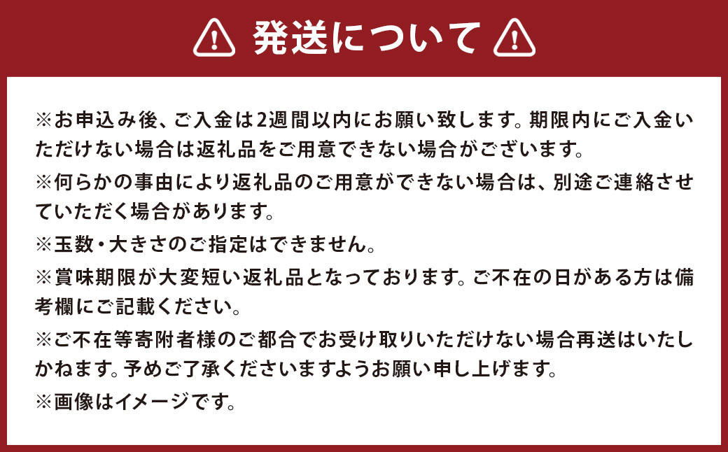 【訳あり】 紅いわて 約5kg 家庭用
