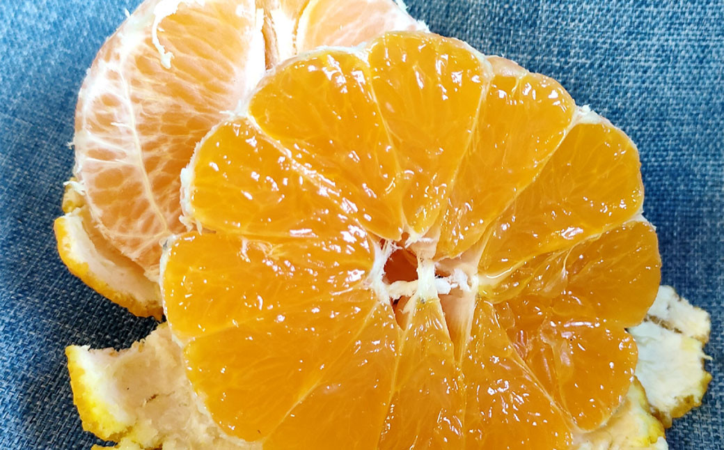 潮風をたっぷり受けた濃厚不知火 6～8玉 （ 約2kg ）