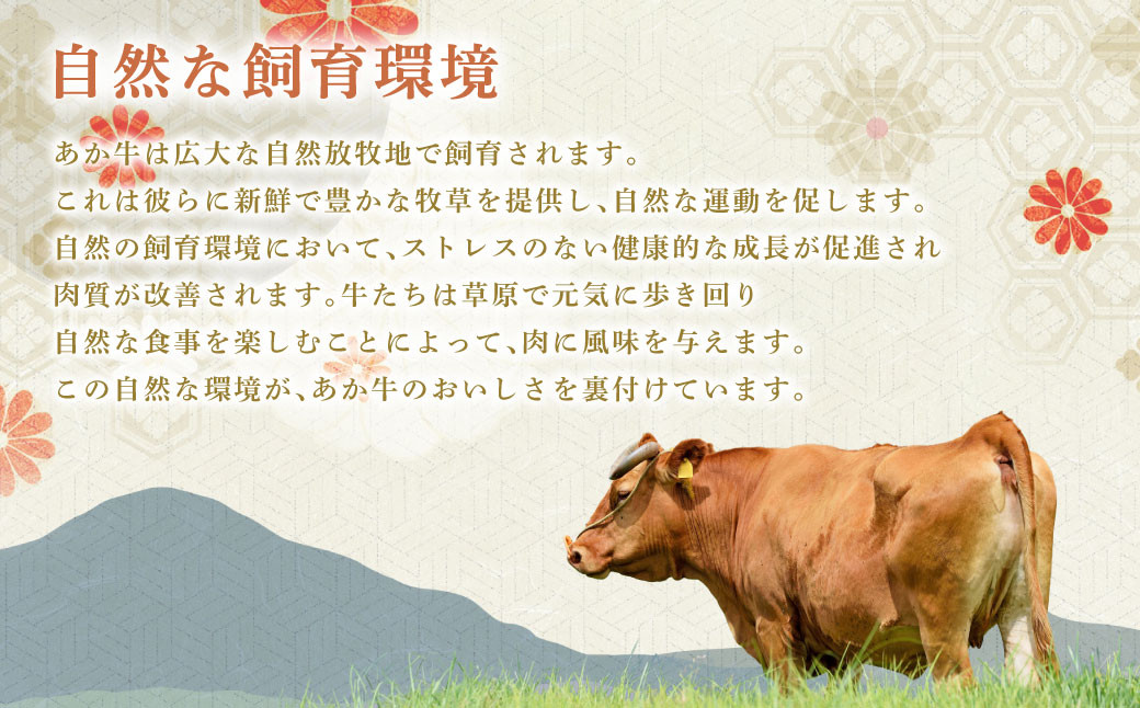 【 8回 定期便 】くまもと あか牛 切り落とし 1.2kg