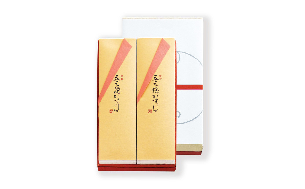 【全12回定期便】特製五三焼カステラ2本入 ( 五三焼2本入 ) かすてら 洋菓子 お菓子 菓子 おやつ デザート スイーツ