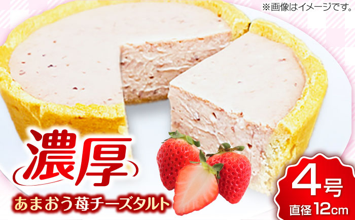 ケーキ けーき チーズケーキ ベイクドチーズケーキ いちご