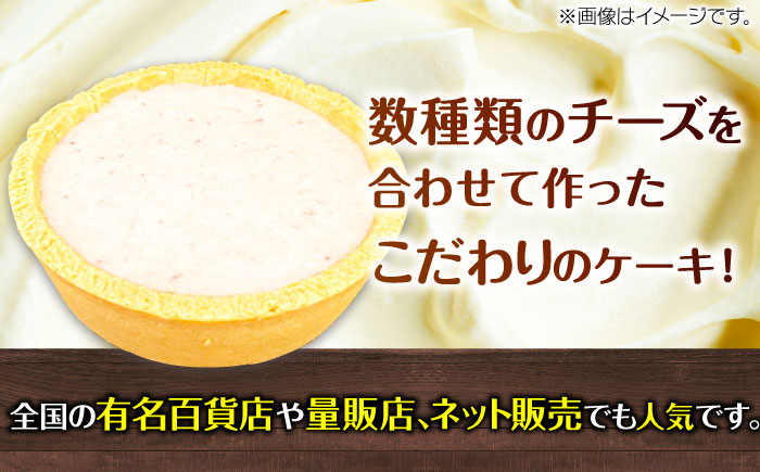 ケーキ けーき チーズケーキ ベイクドチーズケーキ いちご
