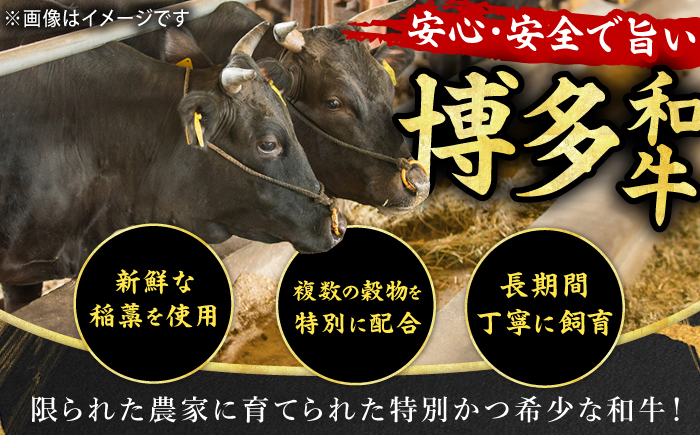 肉 和牛 博多和牛 黒毛和牛 ステーキ ミスジ