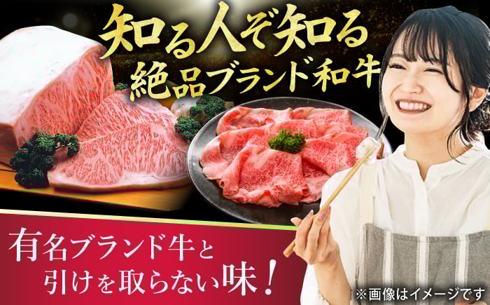 肉 和牛 博多和牛 黒毛和牛 ステーキ ミスジ