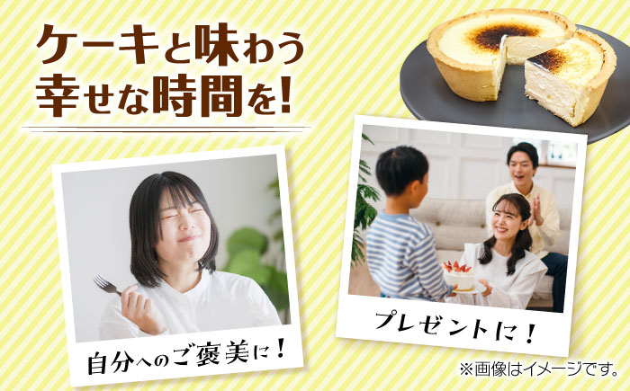 ケーキ けーき チーズケーキ ベイクドチーズケーキ バスクチーズケーキ