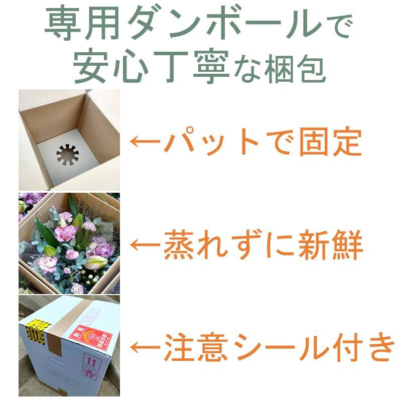 クール便でお届け!
