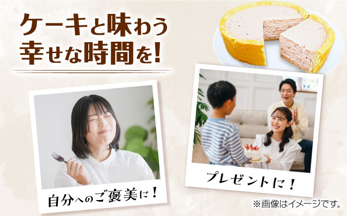 ケーキ けーき チーズケーキ ベイクドチーズケーキ いちご