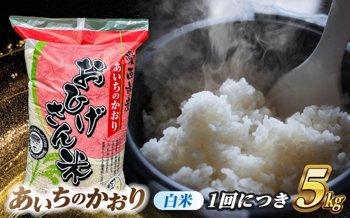 米 お米 5kg 5キロ 定期便 白米 精米 新米 愛知県 国産 あいちのかおり
