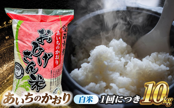 米 お米 10kg 10キロ 定期便 白米 精米 新米 愛知県 あいちのかおり