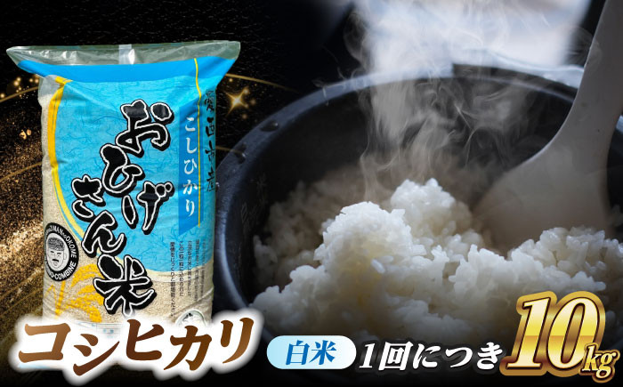 米 お米 10kg 10キロ 定期便 白米 精米 新米 愛知県 国産 コシヒカリ